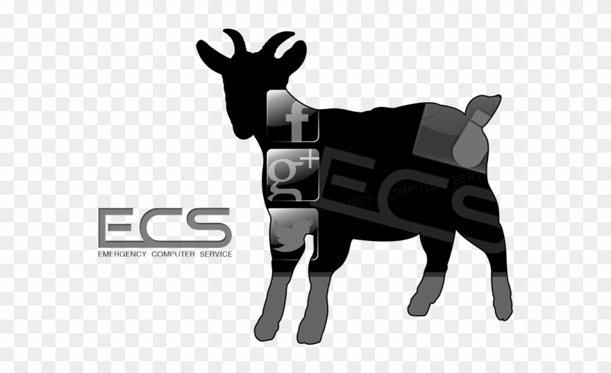 Business-card Clipart