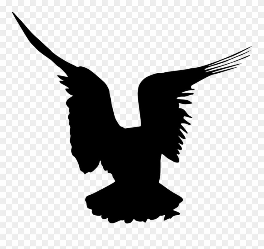 Bird Silhouette Clipart