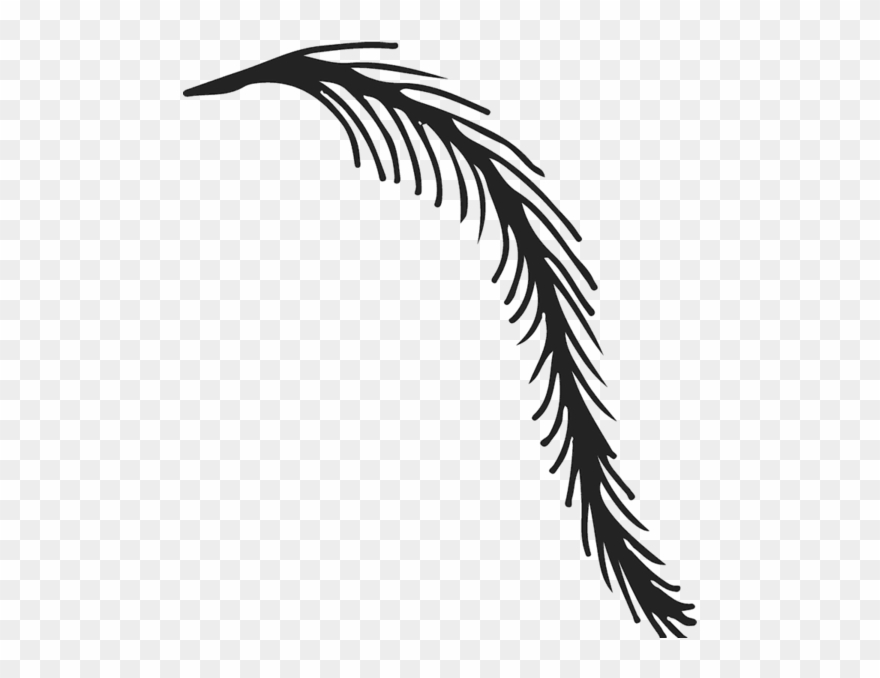 Clip Art Weeping Willow Tree - Png Download