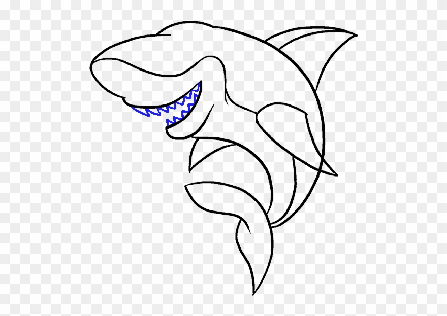 How To Draw Shark Clipart