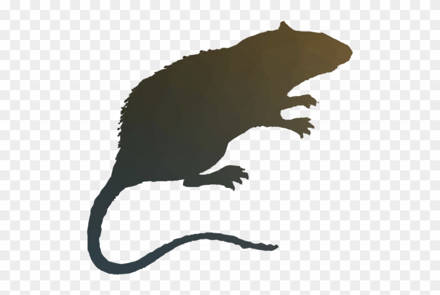 Rat Clipart Rat Wild Boar Duck - Png Download