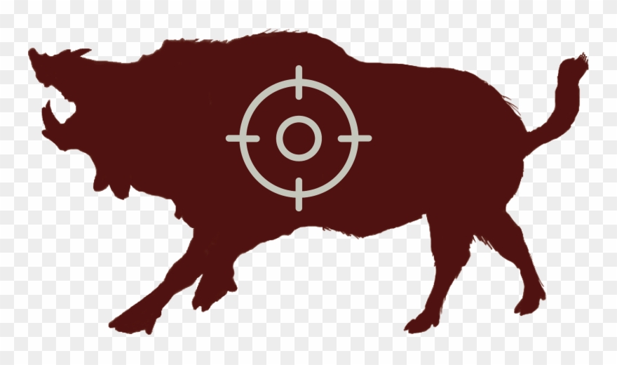 This Trapping System Was Developed During Three Years Clipart