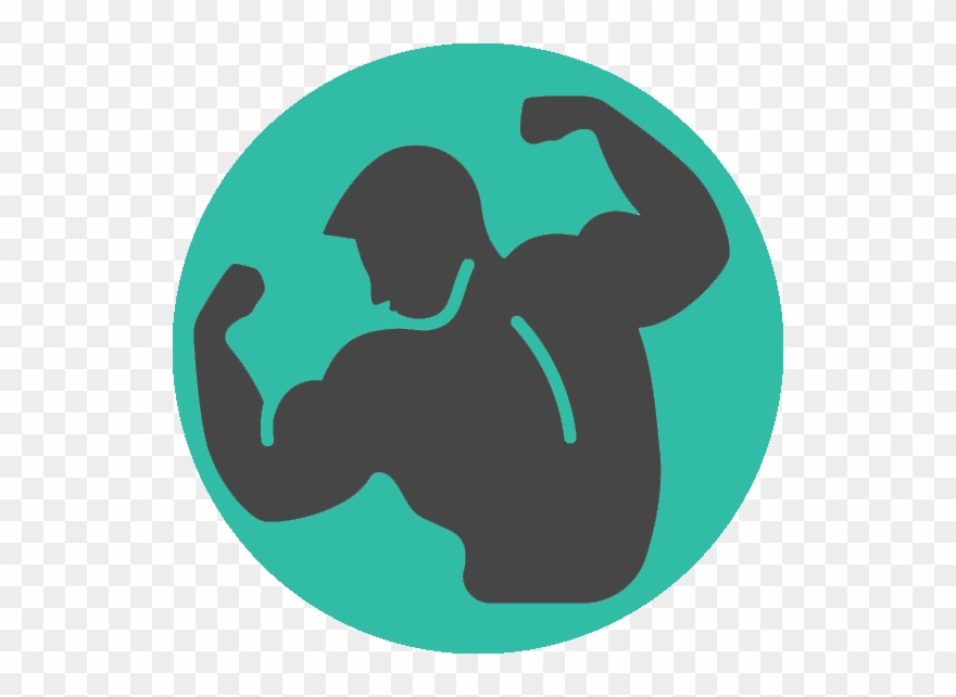 The Best Muscle Building Back Exercises Clipart