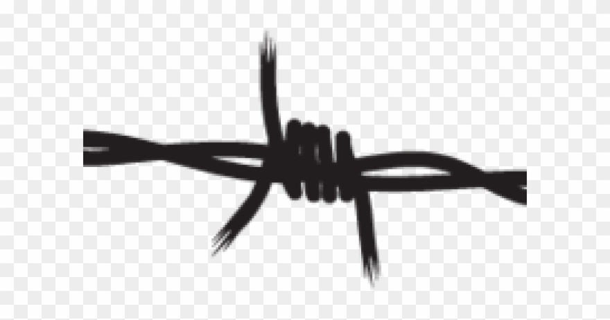 Wire Clipart Real - Png Download