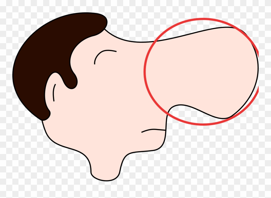 Cartoon Nose Clipart - Png Download