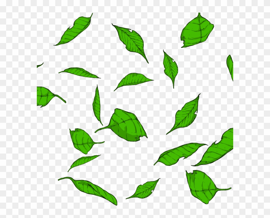 Hojas Dibujos Animados Archivo Clipart