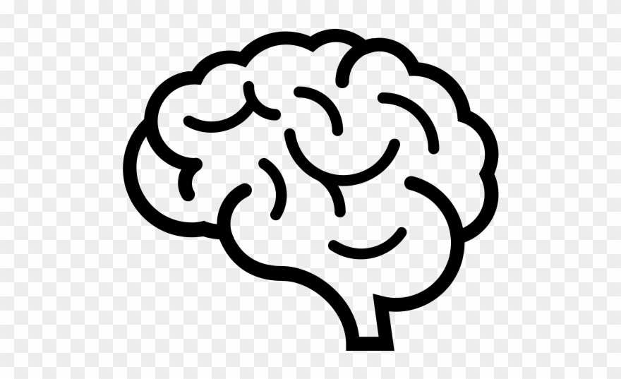 Mri Brain Plain Clipart