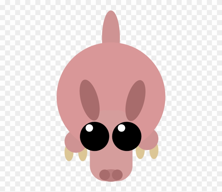 Aardvark Clipart