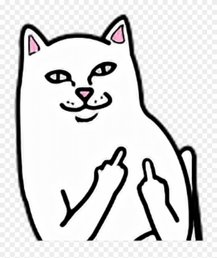 Cat White Fuck You Off Fuckyou Fuckoff Middle Finger Clipart
