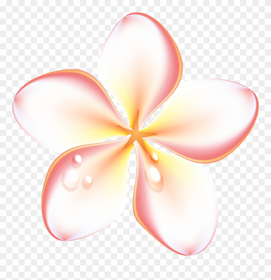 Download Exotic Summer Flowers Transparent Png Images Clipart