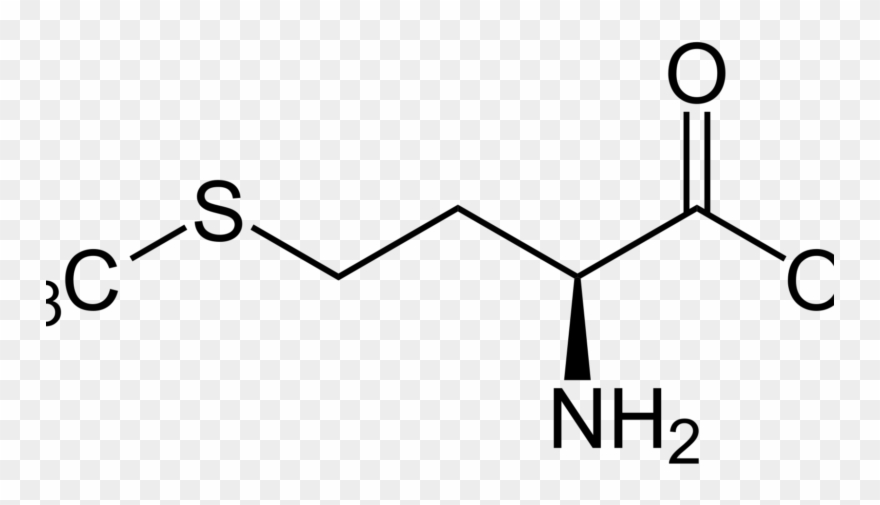 L-methionine Market Clipart