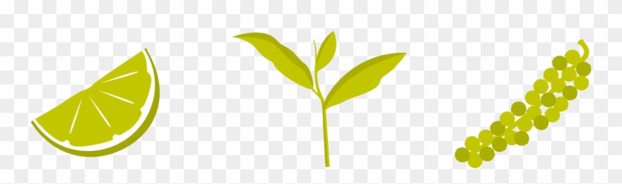 From The Leaves Of Green Tea Clipart