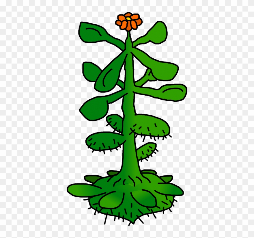 Cactus In A Candy Shop Clipart