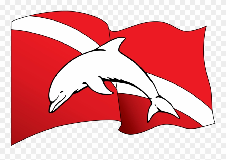 Birthday Gift Cards Clipart