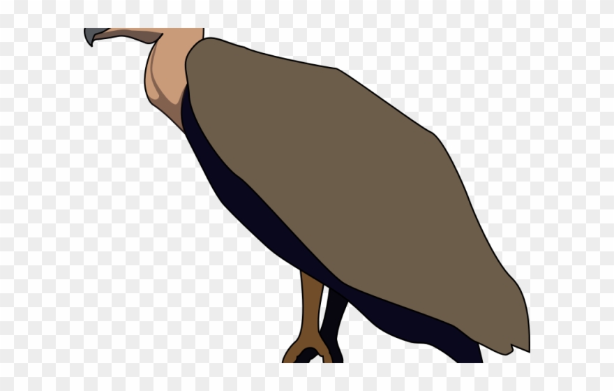 Vulture Clipart Transparent - Png Download