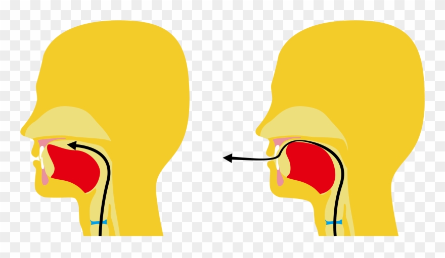 Lsd Visual Sign Language Dictionary Clipart