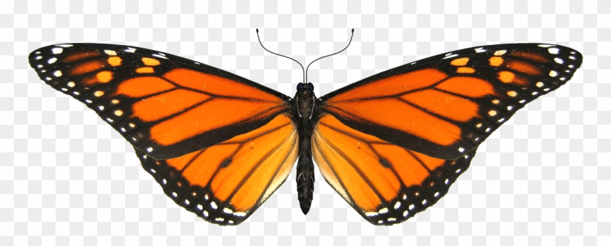 Sustenance For The Soul Clipart