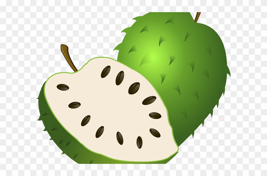 Custard Apple Clipart - Png Download