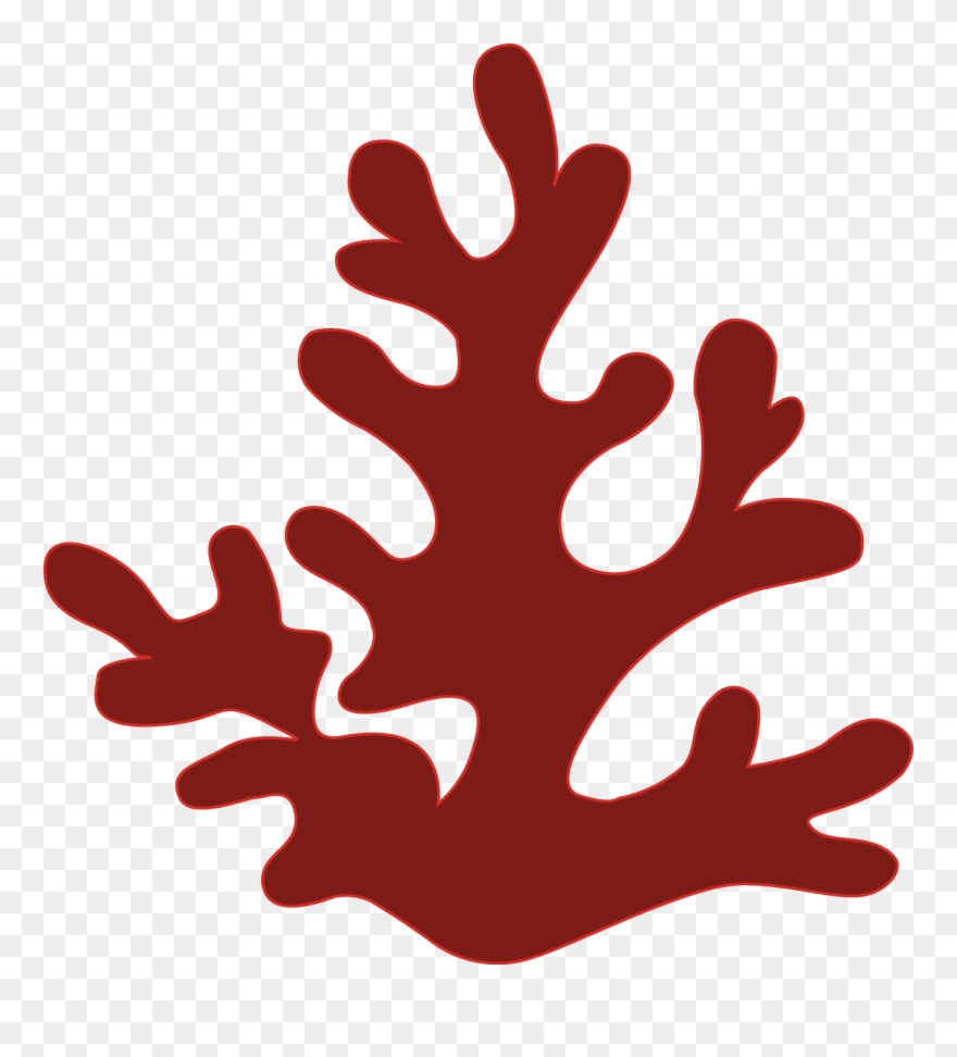 The Structure Of The Reefs Comes From Coral Species Clipart