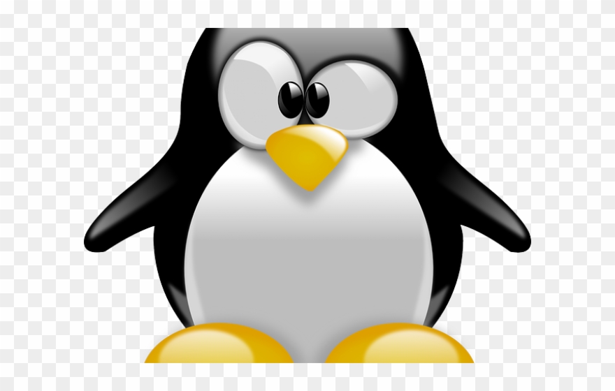 King Penguin Clipart Penguine - Png Download