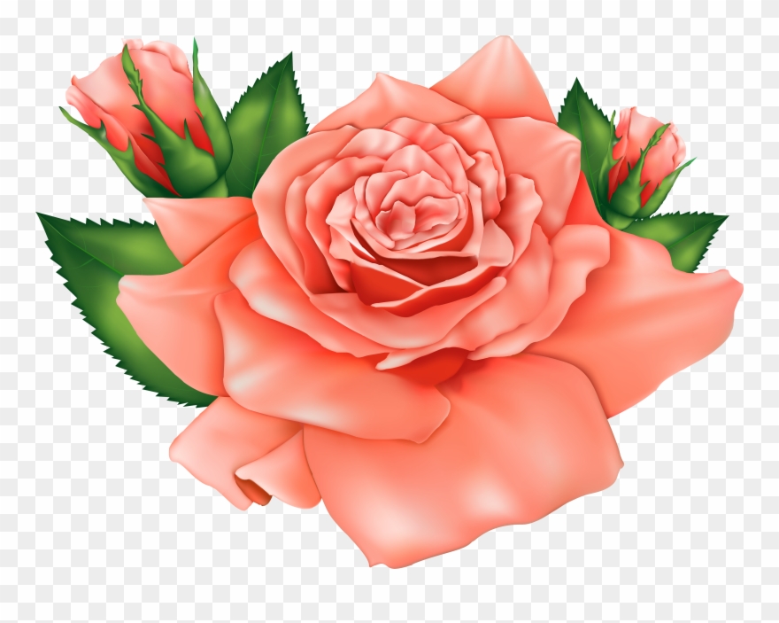 Peach Flower Clipart Orange - Png Download