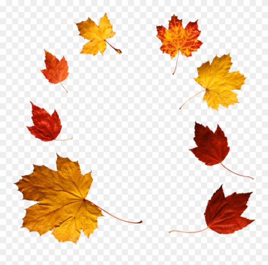 Download Autumn Leaves Clipart Png Photo Transparent Png