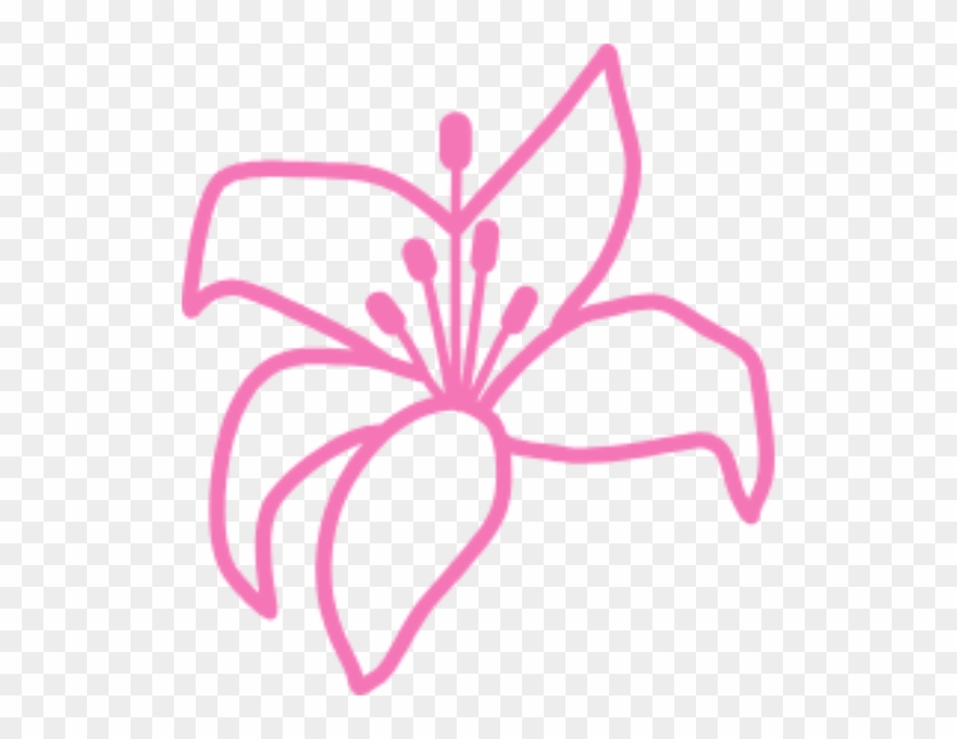 Pinterest Facebook Twitter Instagram Youtube Clipart