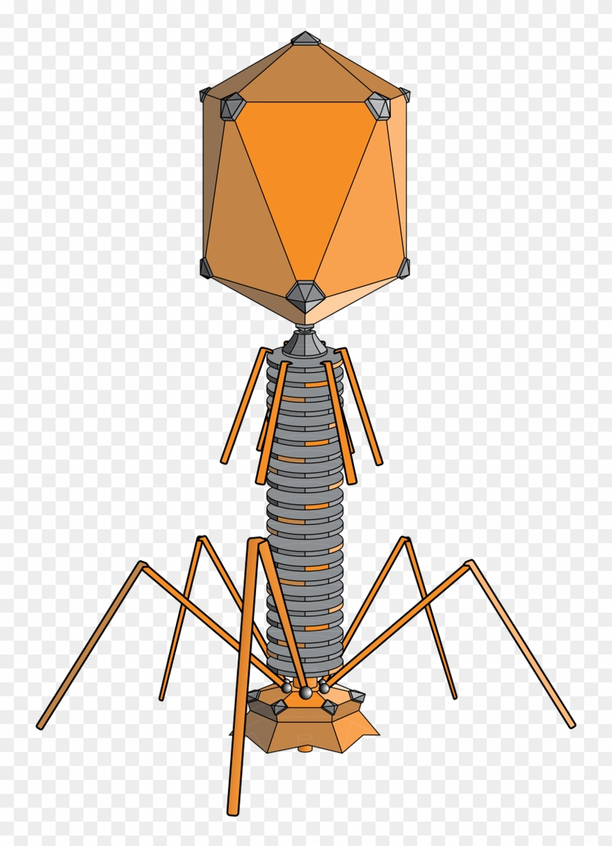 Addgene On Twitter Clipart