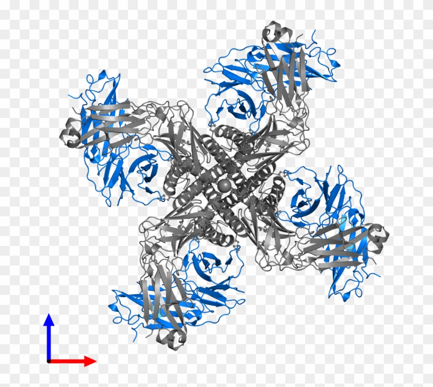<div Class='caption-body'>pdb Entry 2hvk Contains 4 Clipart