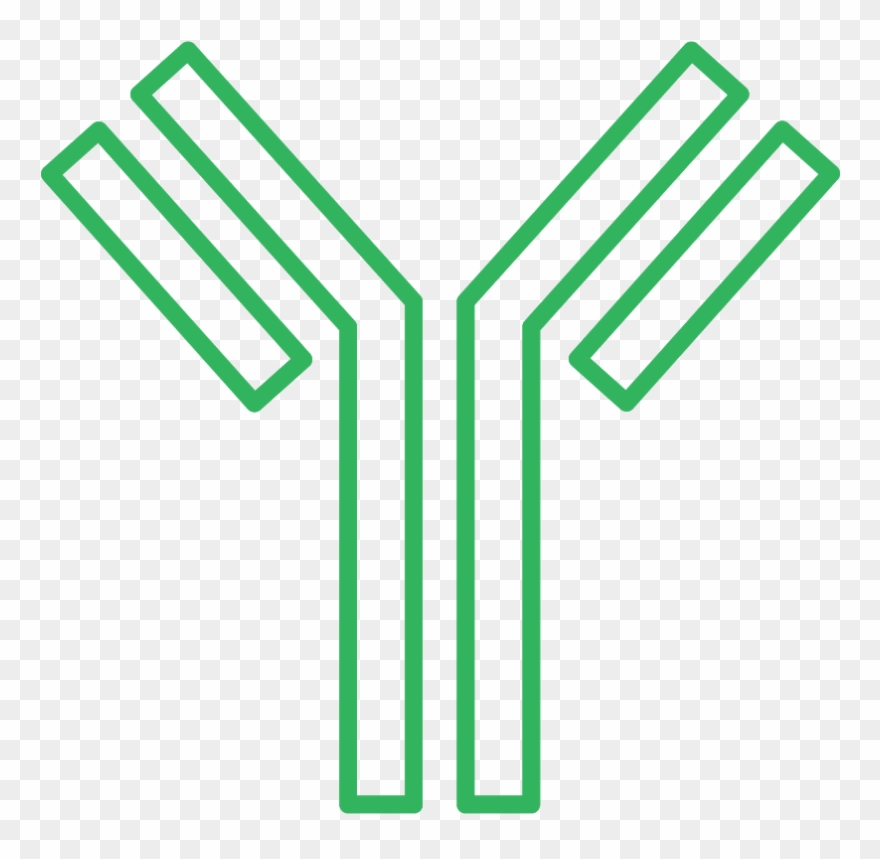 Product Description Clipart