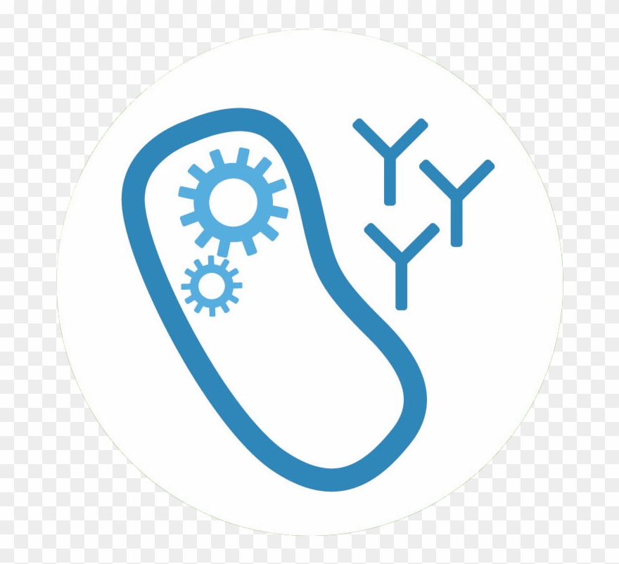 First, We Will Construct An Expression System Of E Clipart