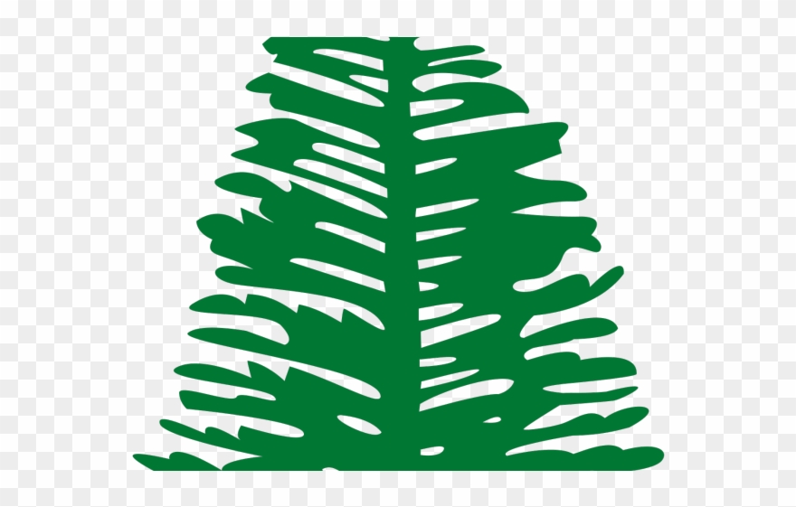 Pine Clipart Big Plant - Png Download