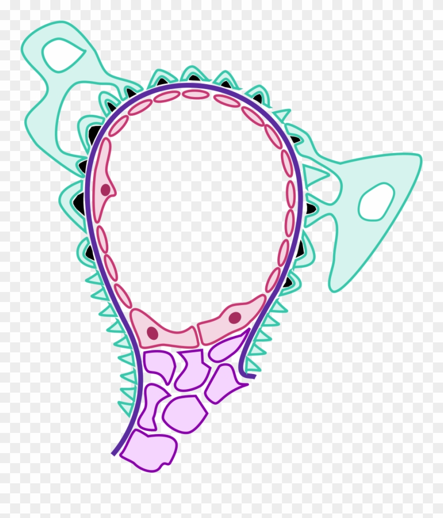 Jpg Freeuse Disease Clipart Pathology - Png Download