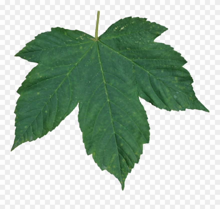 Png Images Free Download Clipart