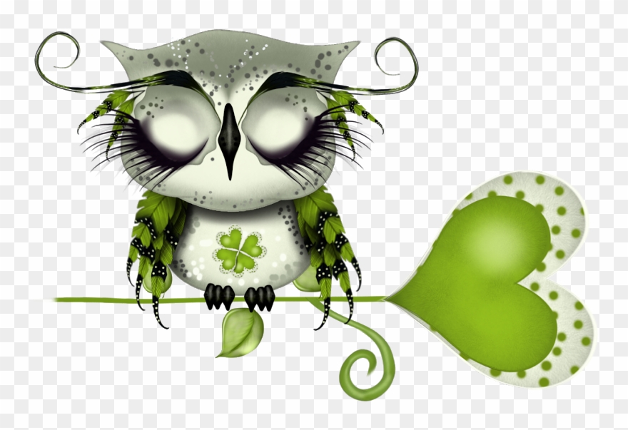 Cahier Journal, Cartoon Birds, Cute Owl, Owl Art, Osaka, Clipart