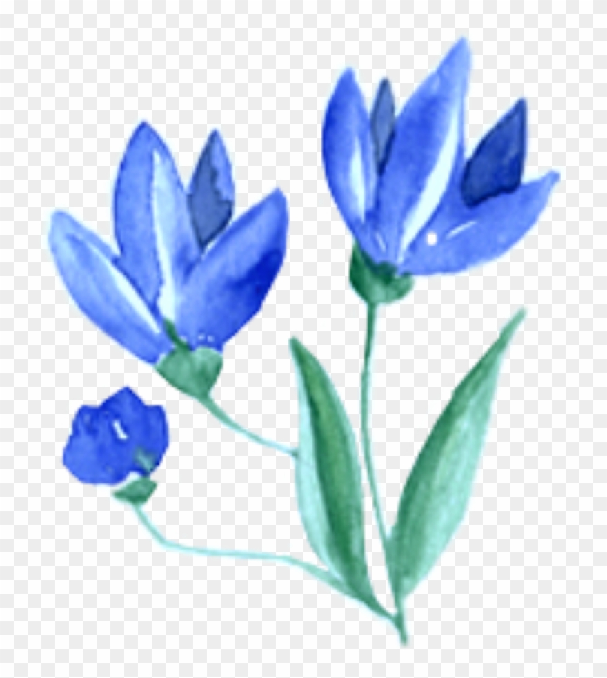 Ftestickers Watercolor Flowers Blue Clipart (#2488911) - Pinclipart