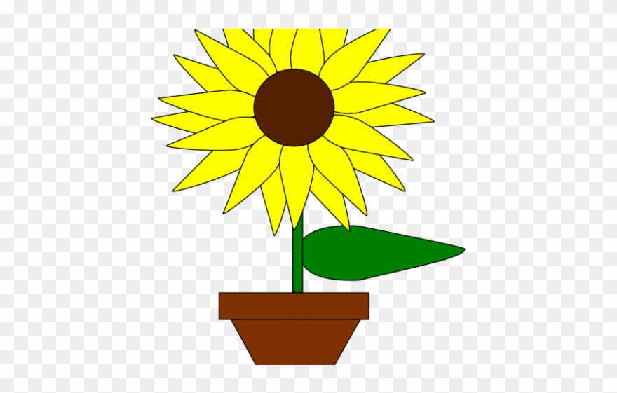 Sunflowers Clipart Easy - Png Download