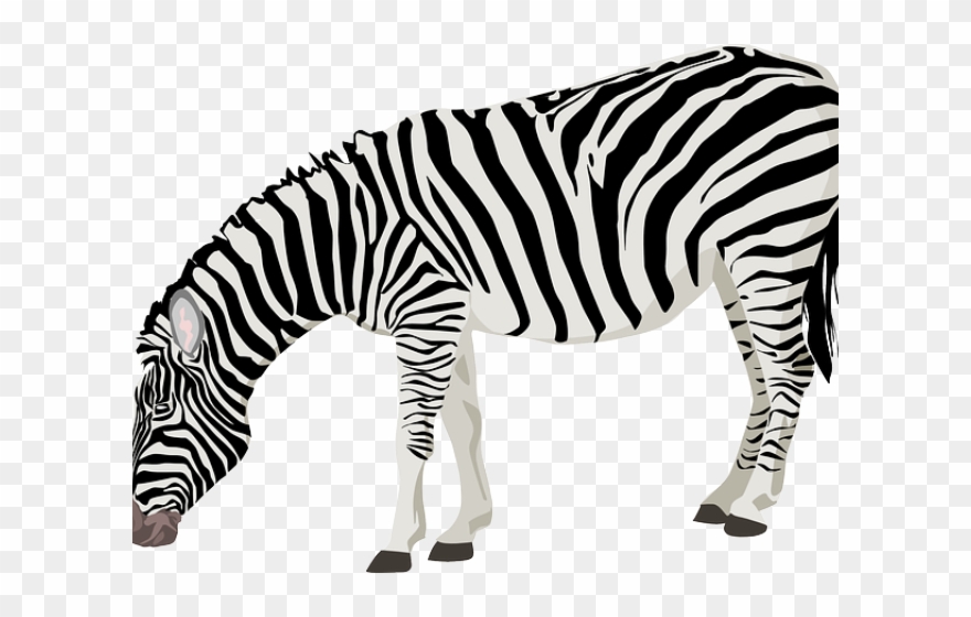 Zoo Clipart Zebra - Png Download