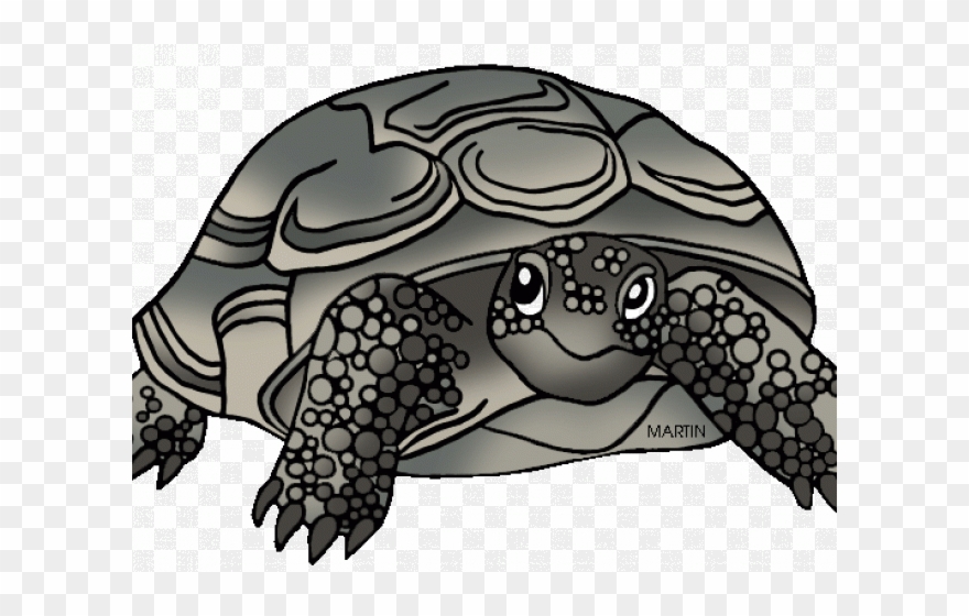 Tortoise Clipart Phillip Martin - Png Download