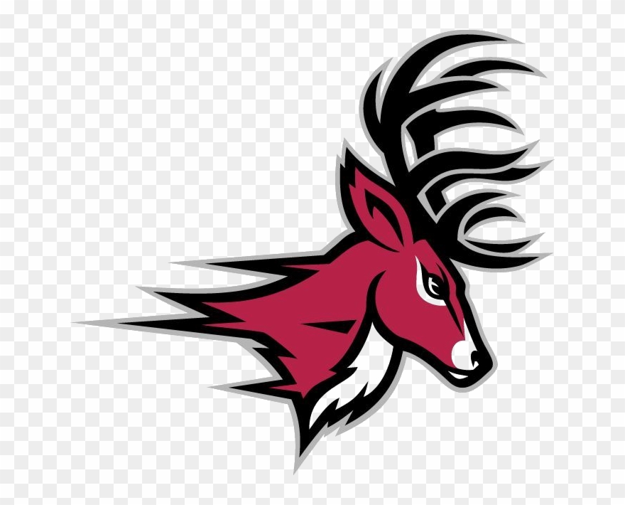 Dantomkian National Handball Team Clipart