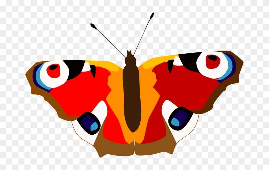 Peacock Butterfly Clipart
