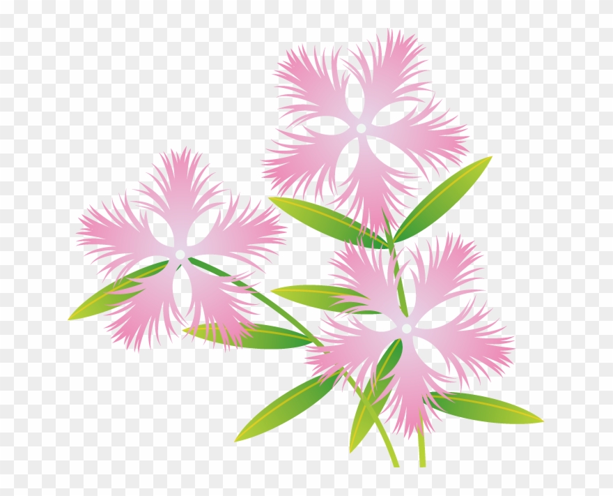 秋の花1 08 なでしこイラスト Clipart