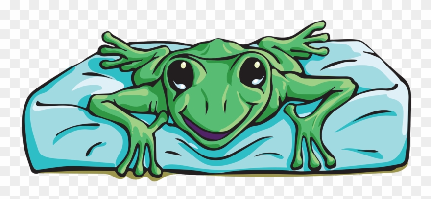 #frogs #terrariums Http Clipart