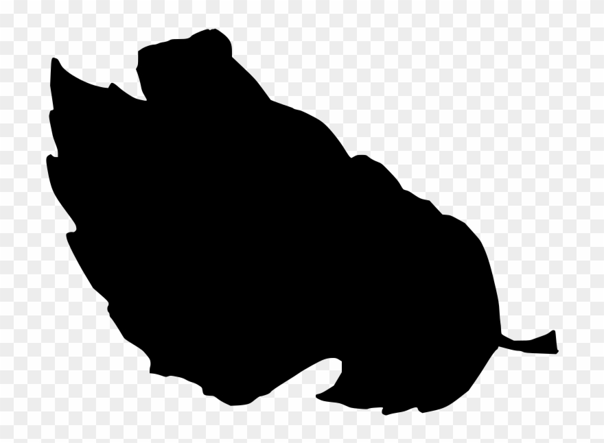 Info Clipart