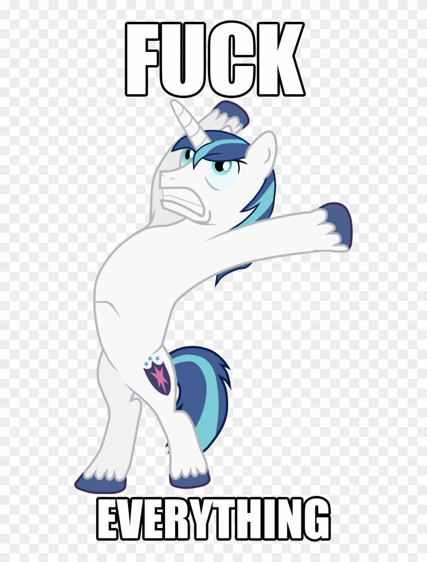 Fuck Everything, Image Macro, Male, Pony, Safe, Shining Clipart