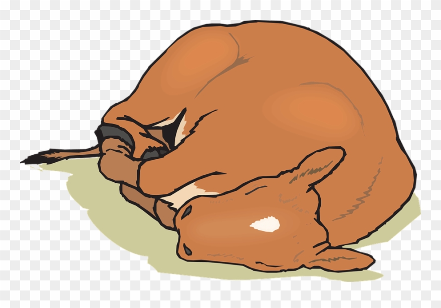 Images Of Goat Cartoon Clipart