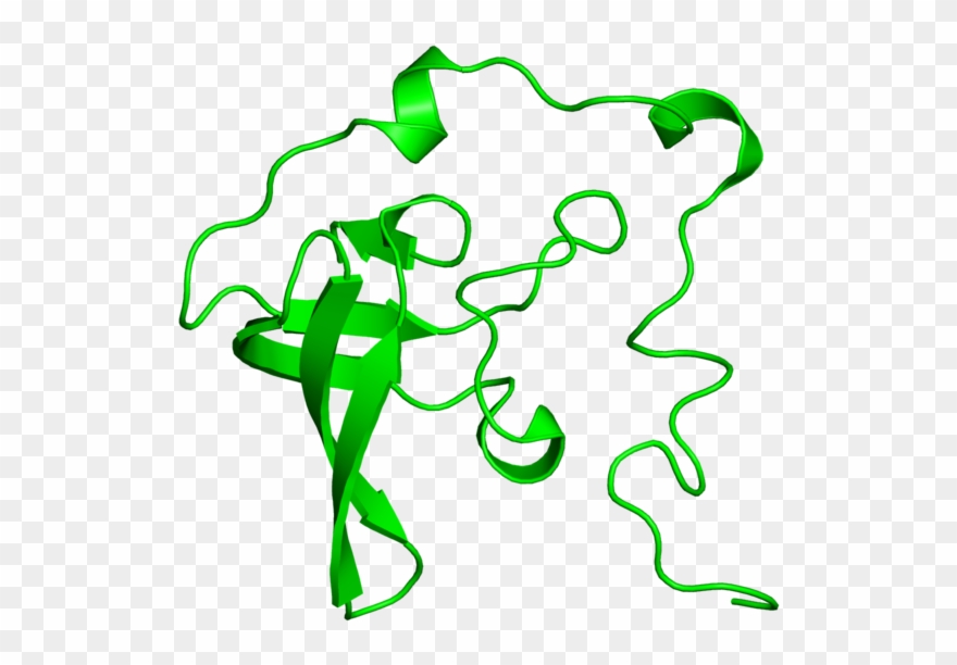 <div Class='caption-body'>1 Copy Of Cath Domain Clipart