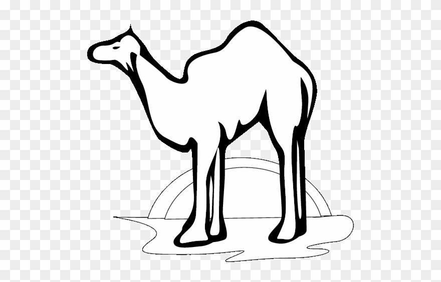 Eps 2000 Camel Printable Coloring In Pages For Kids Clipart