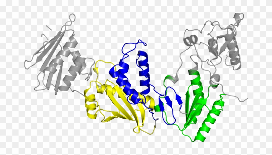 <div Class='caption-body'>4 Copies Of Cath Domain Clipart