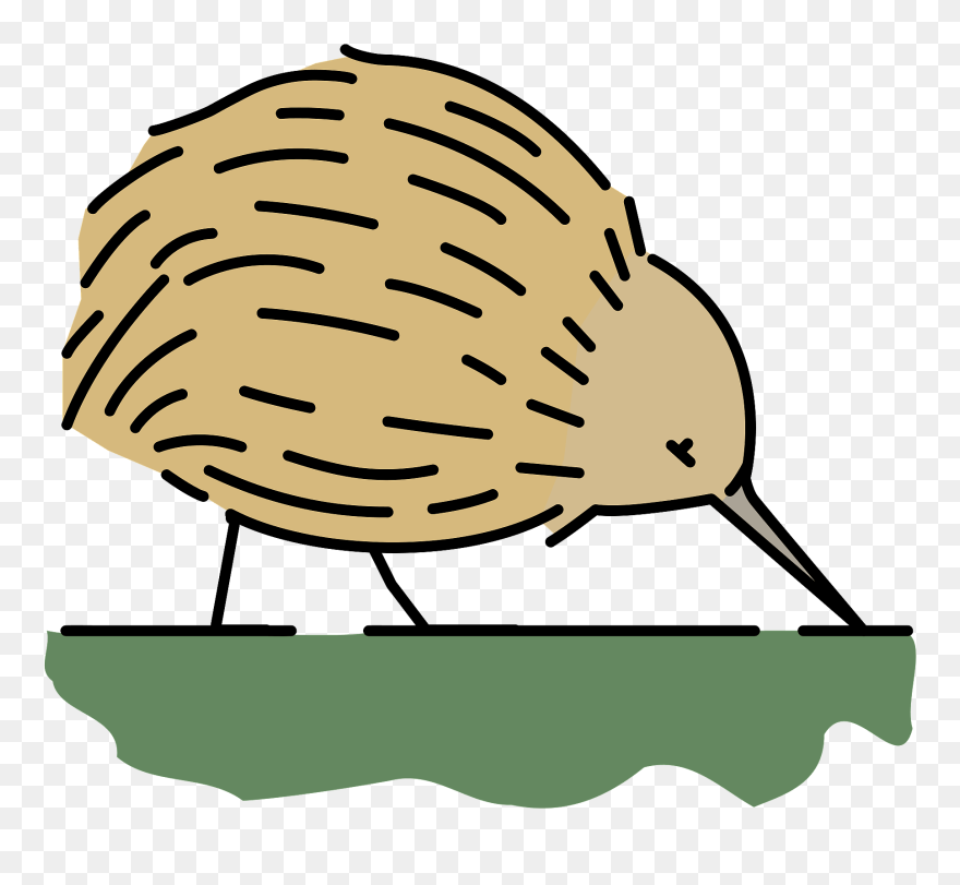 Kiwi Bird Clipart